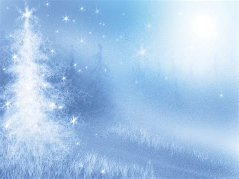 Pine Winter With Tree Backgrounds Christmas Holiday Templates Free