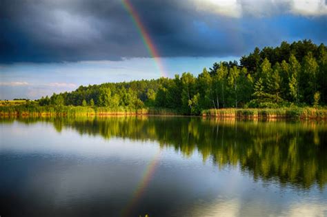 18300 Rainbow Reflection In Water Stock Photos Pictures And Royalty