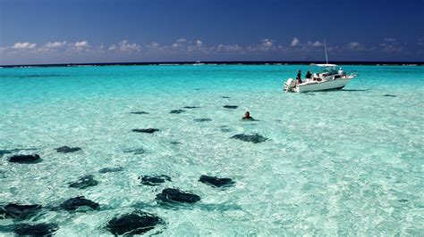 Visit Grand Cayman Best Of Grand Cayman Tourism Expedia Travel Guide