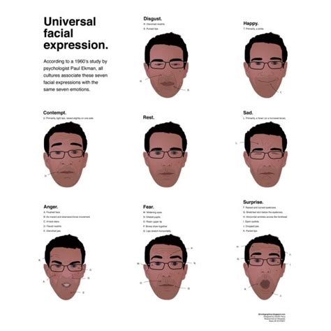The Facial Universal Expressions Do You Use Them To Your Advantage Do