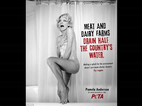 Hollywood Celebrities Who Went Bare For PETA Ad Campaigns Filmibeat