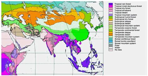 Vegetation Zones Of Asia Andi Healthy