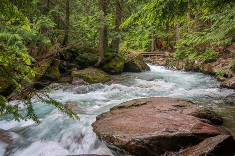 Avalanche Lake Trail A Stunning Hike In Glacier National Park