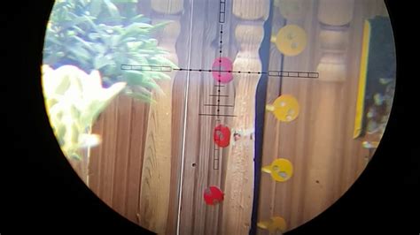 Target shooting can also be a lot of fun, and especially so when reactive steel targets are used. DIY dueling tree airgun fun back yard garden plinking reactive target practice air rifle - YouTube