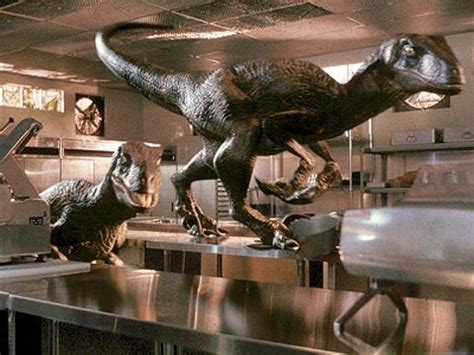 Jurassic Park Raptors In The Kitchen Funny Meeting Backgrounds Vlrengbr