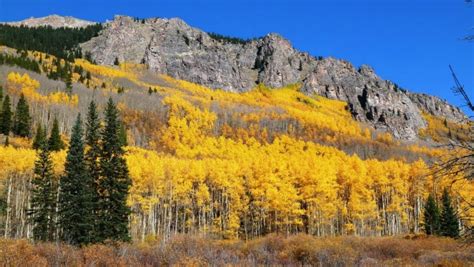 Colorados 20 Best Places For Fall Colors Mile High Mamas