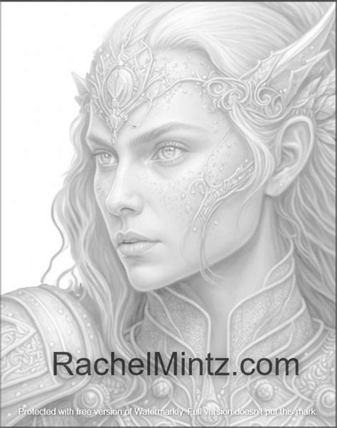 The Elf Of Paladin Grayscale Coloring Book Gorgeous Elves Warriors