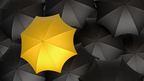 2560x1440 Umbrella Monochrome Yellow Digital Art 5k 1440p Resolution Hd