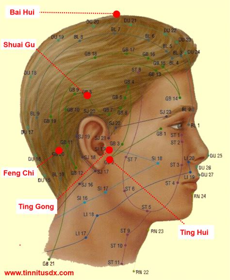 Acupressure Points For Tinnitus Acupressure Treatment Acupuncture