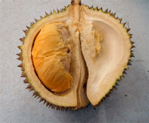 Kuala Lumpur Durian Highlights Year Of The Durian