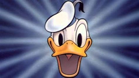 Donald Duck Sur Disney Tout Sur Les Origines Du Célèbre Canard
