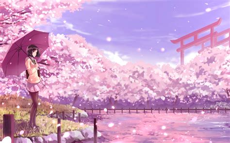 Wallpaper Girl Umbrella Sakura Anime Art Cartoon Hd Widescreen