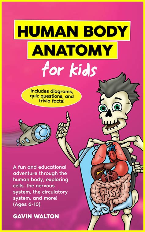 Human Body Anatomy For Kids Ages 6 10 A Fun And Educational