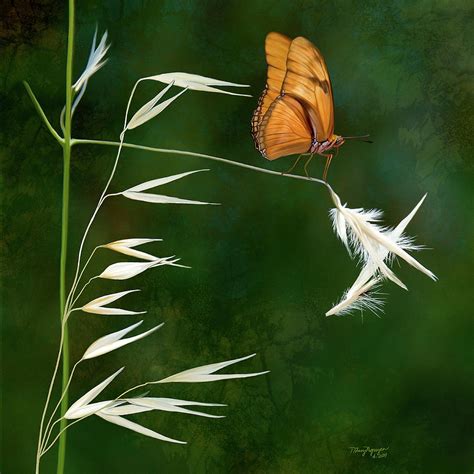 Butterfly On Grass Digital Art By Thanh Thuy Nguyen Fine Art America
