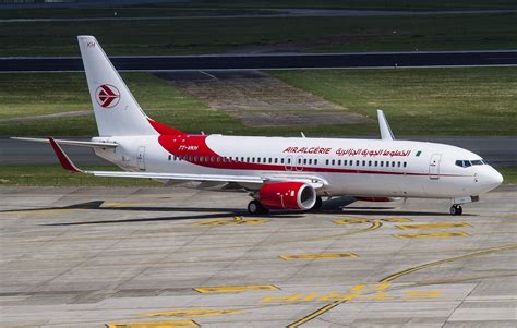 Check spelling or type a new query. Air Algerie Boeing 737-800 at Brussels Airport - Aircraft ...