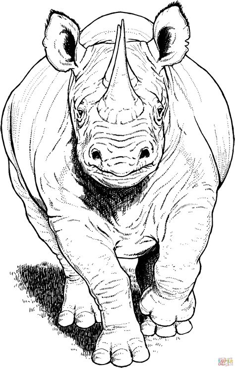 Rhinoceros Coloringpages101 Sketch Coloring Page
