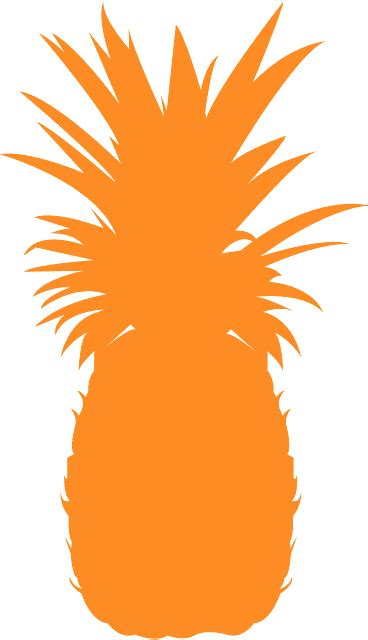 Pineapple Silhouette Vector At Collection Of