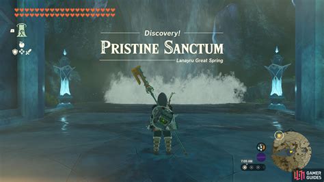 Pristine Sanctum The Legend Of Zelda Tears Of The Kingdom Database