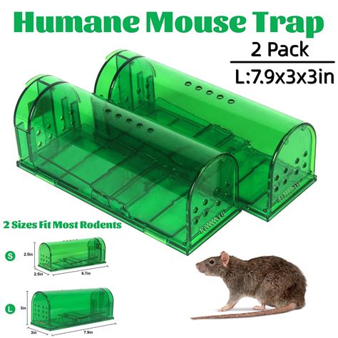 Humane Mouse Trap Catch And Release Mice Trap No Kill For Mice