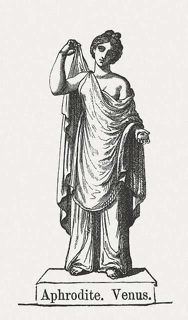 aphrodite venus the greek goddess of love picryl public domain media search engine