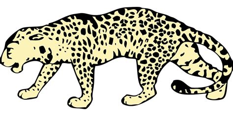 Leopard clipart leopard spot, Leopard leopard spot ...