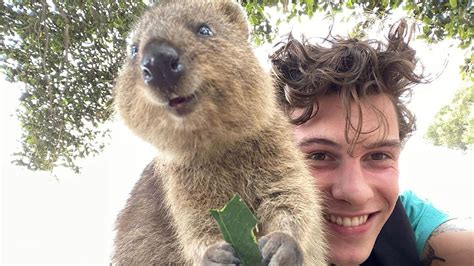 S Estes Selfie Ever Shawn Mendes Post Mit Flausch Quokka