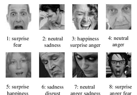 Multiple Emotion Labels Assigned To Facial Expressions Images From The Download Scientific