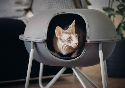 9 Best Covered And Enclosed Cat Beds In 2023 Reviews And Top Picks Pet Keen