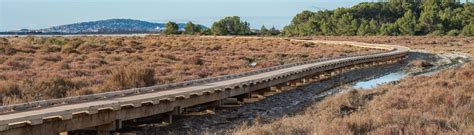 Projet LES CRESSES à VIC LA GARDIOLE Terrains à vendre