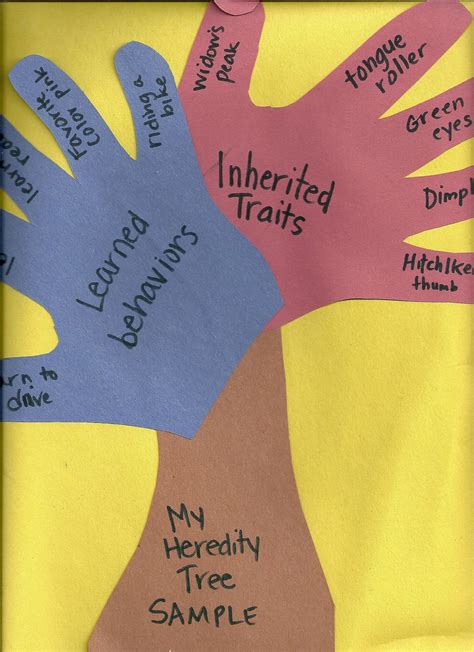 Inherited Traits Worksheets 5th Grade Heredity Tree Fantastic For