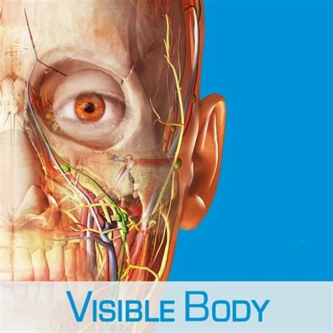 Visible Body E Learning