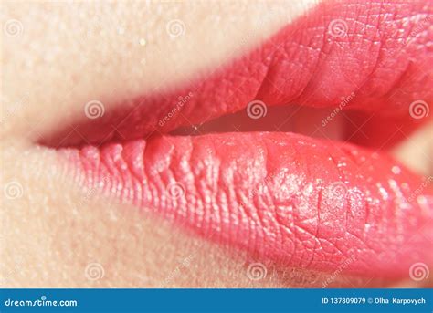 bei orli sexy grandi labbra rosa primo piano bocca femminile di trucco naturale perfetto del