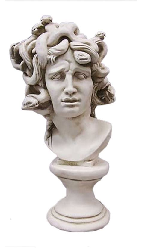 Medusa Bust Busts Greek And Roman Traditional Garden