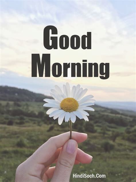 Best collection of morning pictures, photos 2020 with quotes, wishes & messages. 267+ Download Beautiful Good Morning Images HD with Quotes