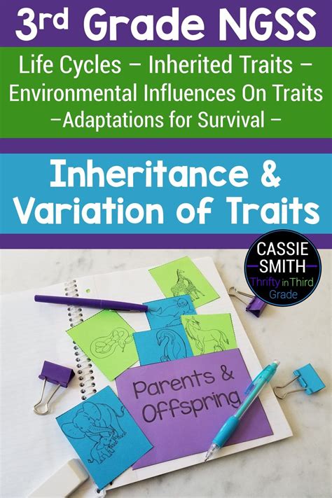 Inheritance And Variations Of Traits Life Cycles And Traits 3rd Grade