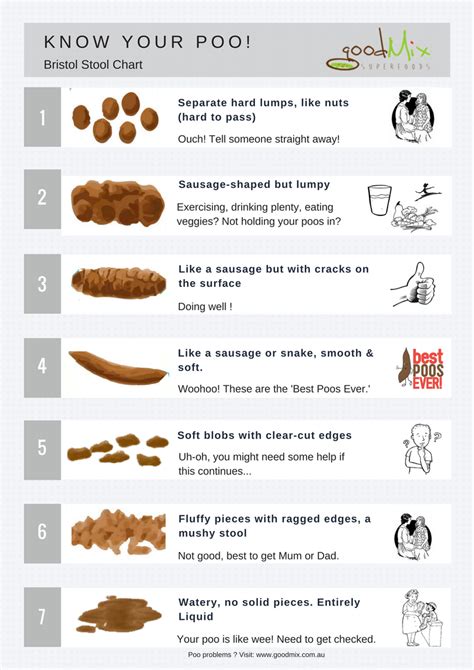 An Overview Of The Bristol Stool Chart Textures Of Poop And What They