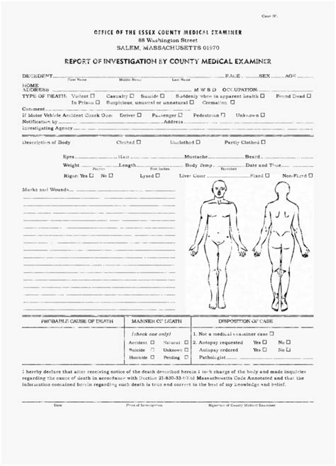 Toxicology Report Template