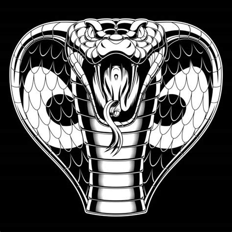 King Cobra Head