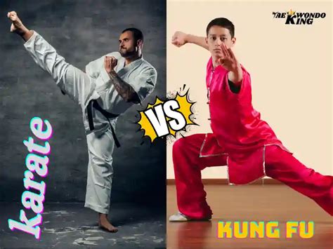 Karate Vs Kung Fu Taekwondo King