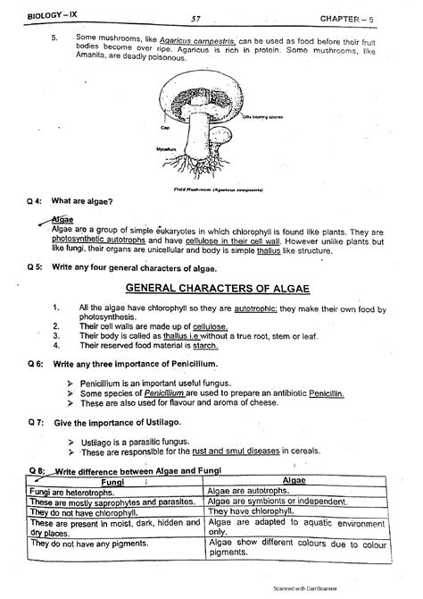 Solution Biology Model Notes Papers For Class 9 Fungi And Algae Short