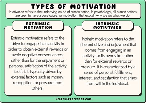 21 Types Of Motivation 2024