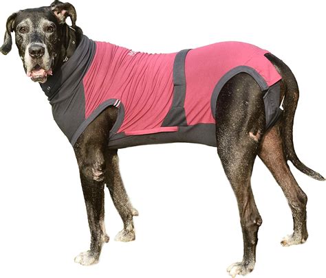 Maxx Dog Medical Pet Shirt E Collar Alternative Recovery Suit For Dogs