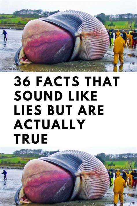 36 Facts That Sound Like Lies But Are Actually True
