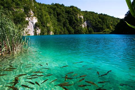 Plitvice Lakes Croatia Went There With High