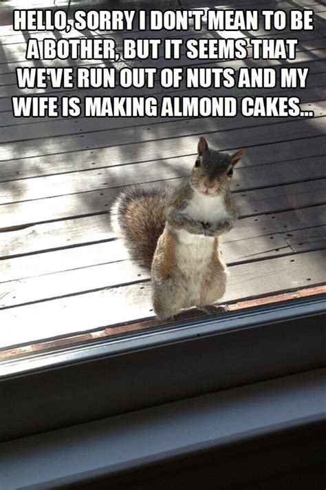 See more ideas about animals, animal captions, funny animals. 30 Funny animal captions - part 39 (30 pics) | Amazing ...