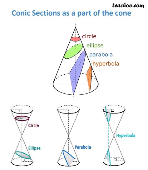 Chapter 11 Conic Sections Class 11 Ncert Solutions