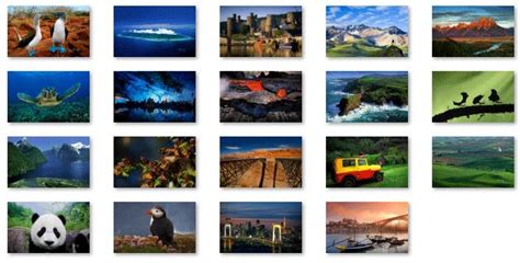 18 Top Quality Images In The Best Of Bing 5 Theme For