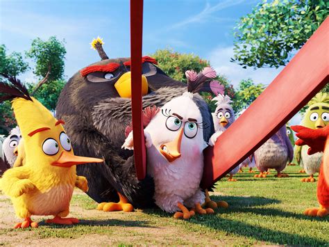 Everything You Need To Know About ‘angry Birds Netflix Tudum