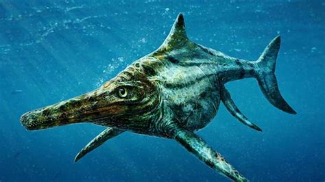 Indian Ichthyosaur Fossil Proves This Ancient Sea Monster Roamed The World