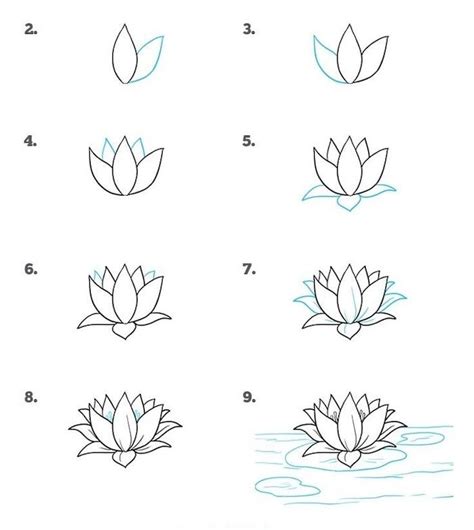 How To Draw Flowers Step By Step With Pictures Easy We All Could Do